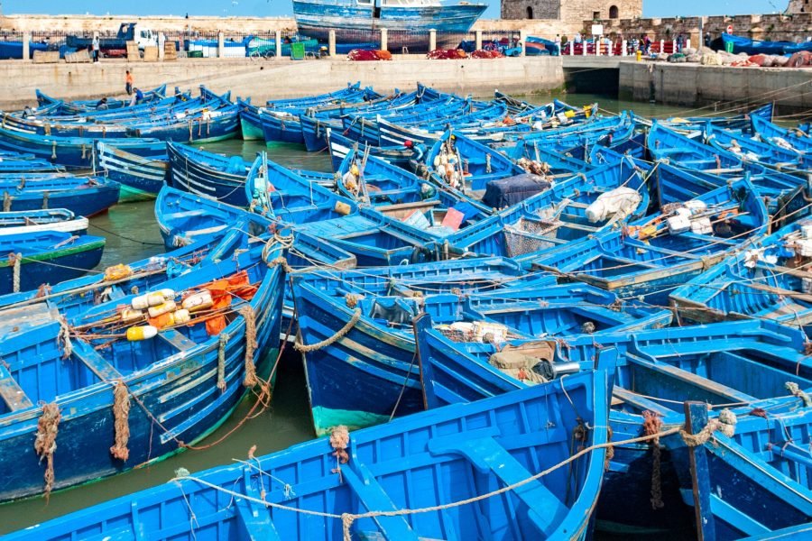 Excursion à Essaouira : Côte Atlantique & Découverte du Patrimoine Mondial de l’UNESCO